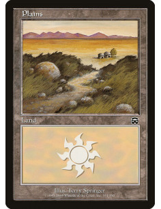 Plains