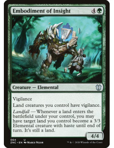 Embodiment of Insight