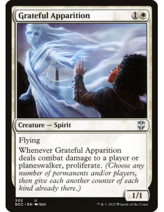 Grateful Apparition