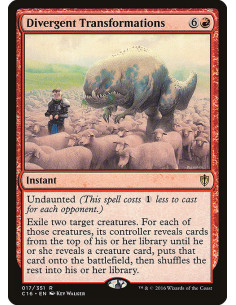 Divergent Transformations