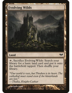 Evolving Wilds