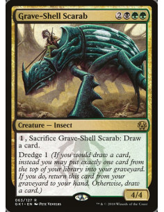 Grave-Shell Scarab