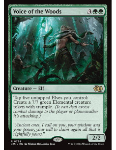 Voice of the Woods