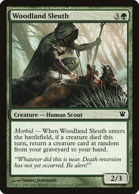 Woodland Sleuth - Foil