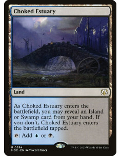 Choked Estuary