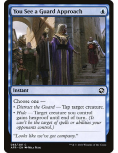 You See a Guard Approach - Foil