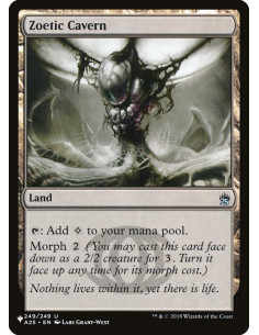 Zoetic Cavern
