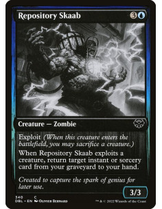 Repository Skaab - Foil