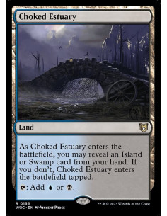 Choked Estuary