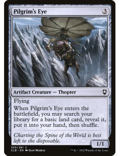 Pilgrim's Eye