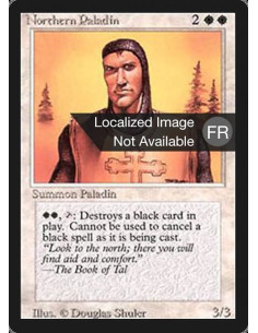 Northern Paladin
