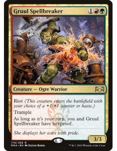 Gruul Spellbreaker