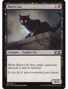 Black Cat