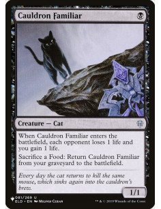 Cauldron Familiar
