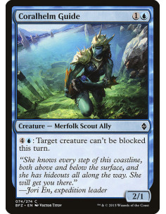 Coralhelm Guide - Foil