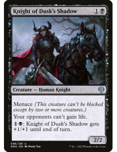 Knight of Dusk's Shadow