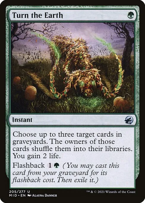 Turn the Earth - Foil