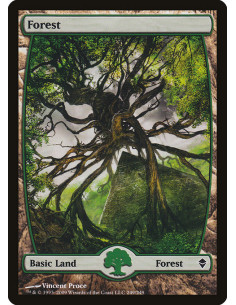 Forest - Foil