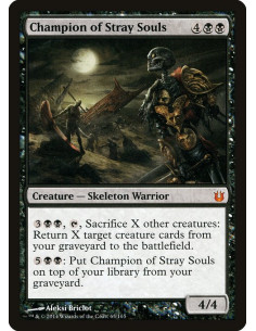 Champion of Stray Souls