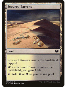 Scoured Barrens