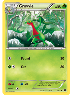 Grovyle