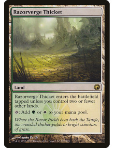 Razorverge Thicket - Foil