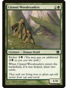 Citanul Woodreaders - Foil