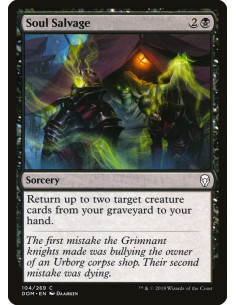 Soul Salvage