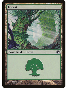 Forest - Foil