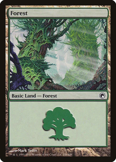 Forest - Foil