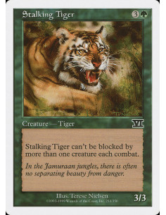 Stalking Tiger