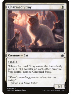 Charmed Stray
