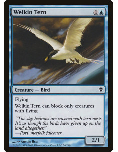 Welkin Tern