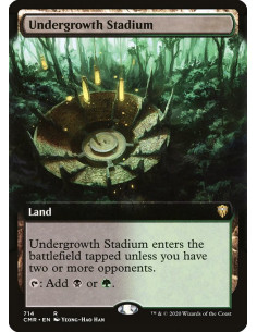 Undergrowth Stadium