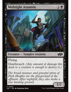 Midnight Assassin