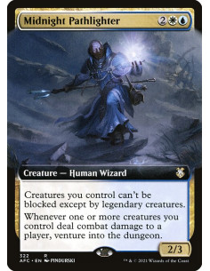 Midnight Pathlighter