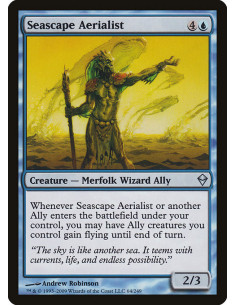 Seascape Aerialist - Foil