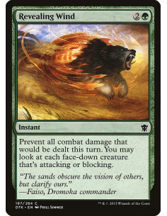 Revealing Wind - Foil