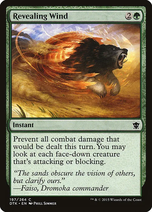 Revealing Wind - Foil