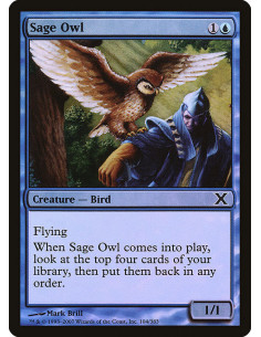 Sage Owl - Foil