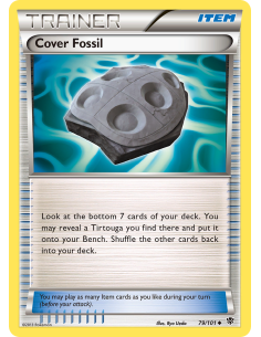 Cover Fossil