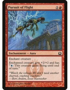 Pursuit of Flight - Foil