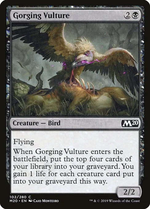 Gorging Vulture - Foil