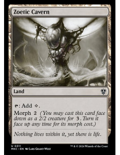 Zoetic Cavern