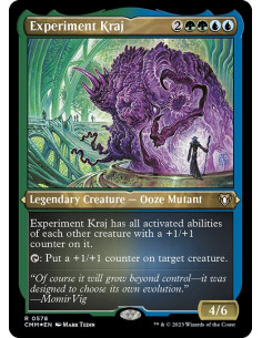 Experiment Kraj - Foil