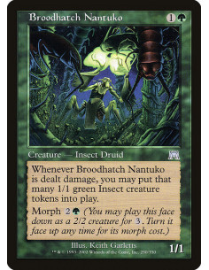Broodhatch Nantuko - Foil