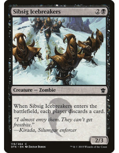 Sibsig Icebreakers