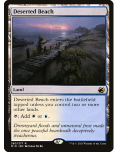 Deserted Beach - Foil