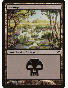 Swamp