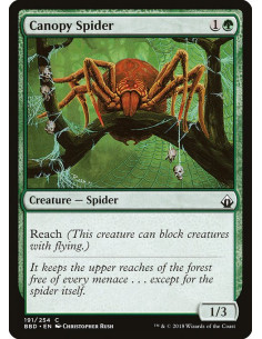 Canopy Spider